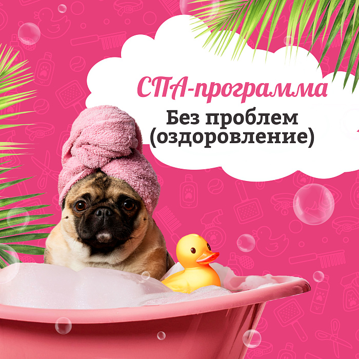 Spa - программа &quot;Оздоровление&quot;