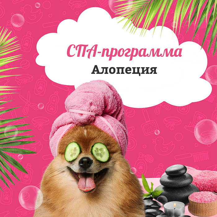 Spa - программа "Алопеция"
