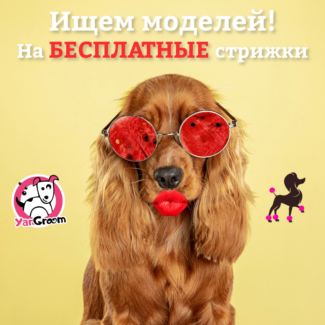 Модель на курсы