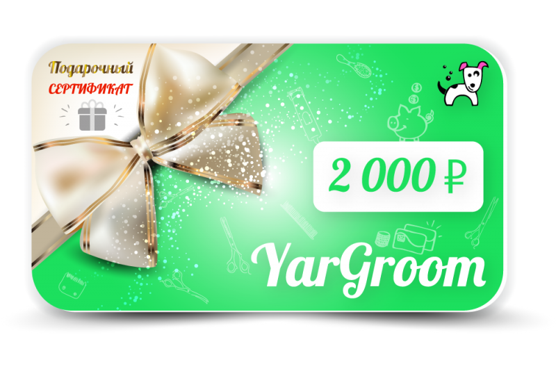 Сертификат YarGroom 2000